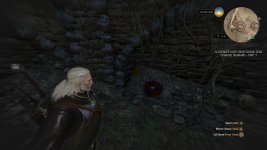 The Witcher 3 Wild Hunt (3).jpg