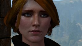 witcher3 2015-08-18 13-43-12-00.jpg