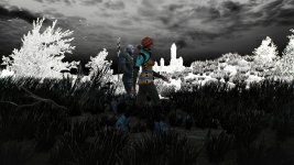 witcher3 2015-08-19 14-52-33-71.jpg