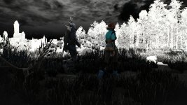 witcher3 2015-08-19 14-52-35-05.jpg