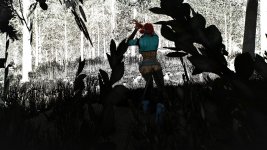 witcher3 2015-08-19 14-54-36-24.jpg