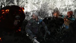 witcher3 2015-08-19 14-56-48-65.jpg