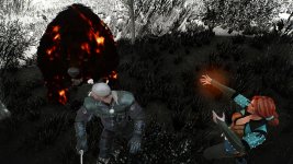 witcher3 2015-08-19 14-57-17-72.jpg