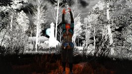 witcher3 2015-08-19 14-58-26-42.jpg