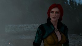 witcher3 2015-08-19 15-41-47-66.jpg