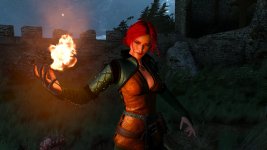 witcher3 2015-08-19 15-46-01-60.jpg