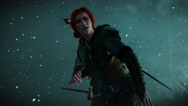 witcher3 2015-08-19 15-51-42-57.jpg