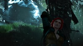 witcher3 2015-08-19 16-11-20-94.jpg