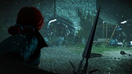 witcher3 2015-08-19 16-11-41-64.jpg