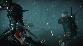 witcher3 2015-08-19 16-24-33-16.jpg