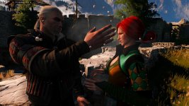 witcher3 2015-08-25 23-49-22-15.jpg