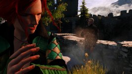 witcher3 2015-08-25 23-49-46-21.jpg