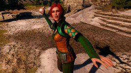 witcher3 2015-08-25 23-50-26-31.jpg