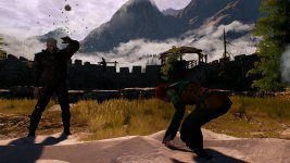 witcher3 2015-08-25 23-50-44-22.jpg