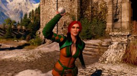 witcher3 2015-08-25 23-51-01-17.jpg