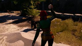 witcher3 2015-08-25 23-51-24-83.jpg