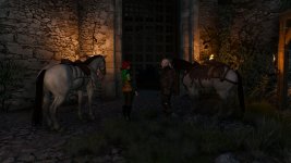 witcher3 2015-08-26 00-24-02-11.jpg