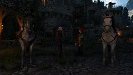 witcher3 2015-08-26 00-24-11-48.jpg