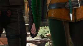 witcher3 2015-08-26 00-26-21-05.jpg