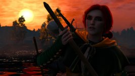 witcher3 2015-08-26 00-28-51-33.jpg