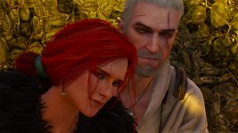 witcher3 2015-08-26 09-01-58-84.jpg