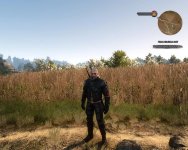 witcher3 2015-08-03 15-02-19-97.jpg