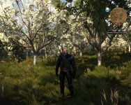 witcher3 2015-08-03 15-19-08-91.jpg