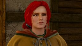 Wiedźmin 3_ Dziki Gon_20150904175042.jpg