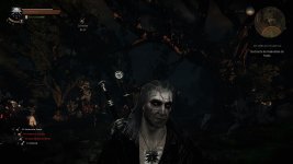 witcher3 2015-10-13 23-52-59-076.jpg