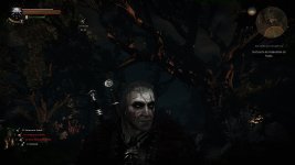 witcher3 2015-10-13 23-52-29-464.jpg