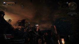 witcher3 2015-10-13 23-51-48-324.jpg
