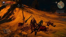 witcher3 2015-10-13 16-29-49-704.jpg