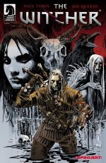 the_witcher_comic_book_series_house_of_glass_cover_art.jpg
