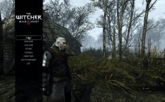 witcher3 2015-10-15 20-27-13-97.jpg