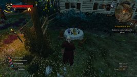 witcher3 2015-10-18 11-00-17-171.jpg