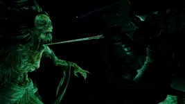 witcher3 2015-10-18 22-03-30.jpg