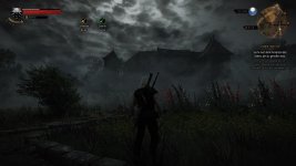 witcher3 2015-10-20 01-36-49-755.jpg
