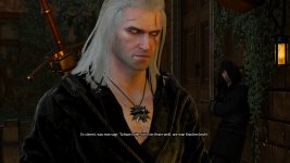 witcher3 2015-10-17 02-29-31-298.jpg