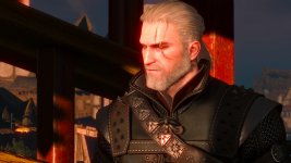 witcher3 2015-07-04 02-28-07-915.jpg