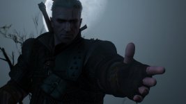 witcher3 2015-08-29 21-06-26-506.jpg