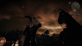 witcher3 2015-10-23 22-48-41-743.jpg