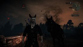 witcher3 2015-10-23 22-46-06-741.jpg