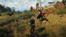 witcher3 2015-09-15 21-13-20-82.jpg