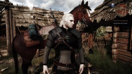 witcher3 2015-10-25 21-59-08-873.jpg