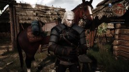 witcher3 2015-10-25 22-01-37-891.jpg