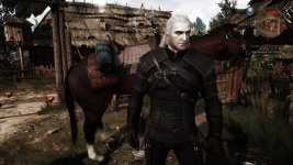 witcher3 2015-10-25 22-02-19-651.jpg