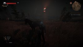 witcher3 2015-10-28 04-11-43-862.jpg