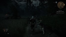 witcher3 2015-10-28 04-34-35-659.jpg