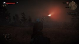 witcher3 2015-10-28 04-11-12-871.jpg
