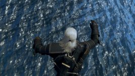 witcher3 2015-10-26 02-03-36.jpg